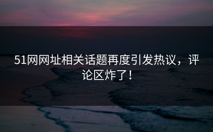 51网网址相关话题再度引发热议，评论区炸了！